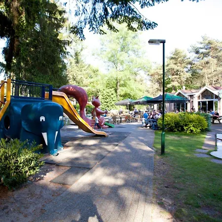 Holiday Type D.8 * Beekbergen